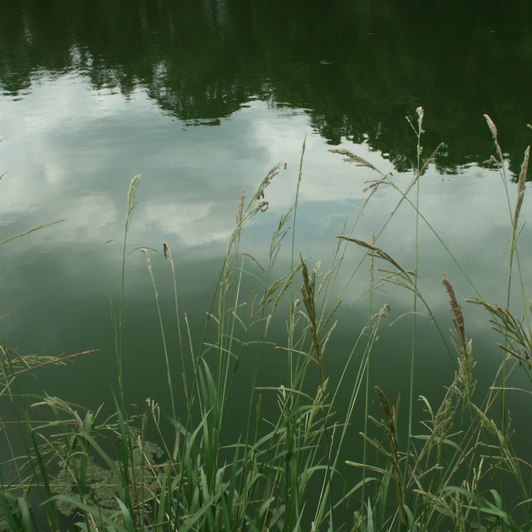 Water educators join UGA Extension